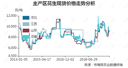 生花生价格最新行情