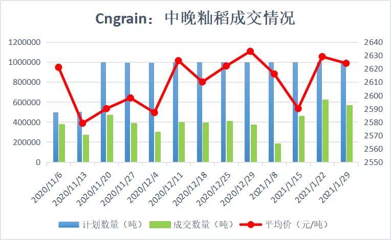 谷子价格最新行情走势