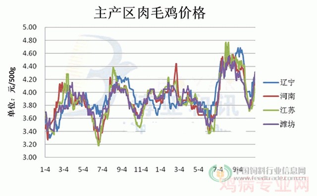 肉毛鸡最新价格动态解析报告