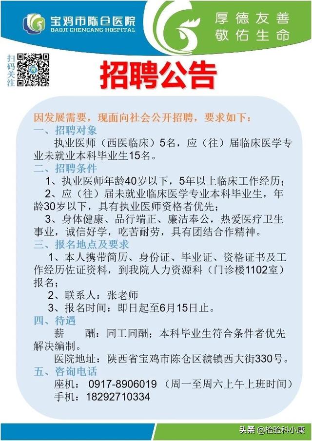 蔡家坡地区最新招聘讯息概览