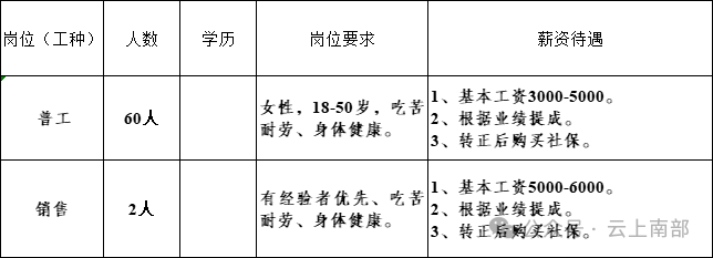 南皮女工最新招聘信息与求职指南