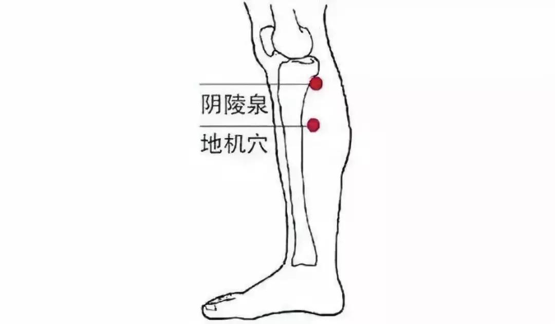 探索前沿科技新领域，跟上地机最新动态