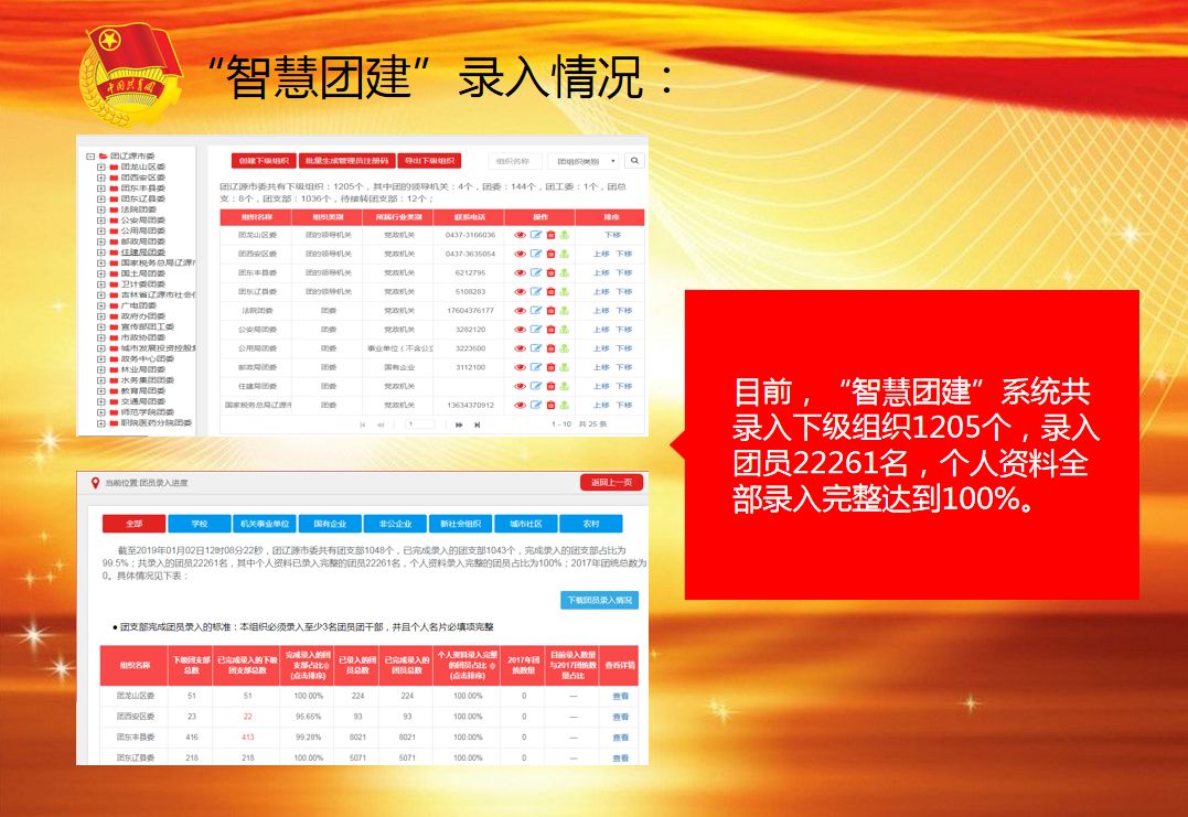 一码一肖100%的资料，数据资料解释落实_iPad28.46.100