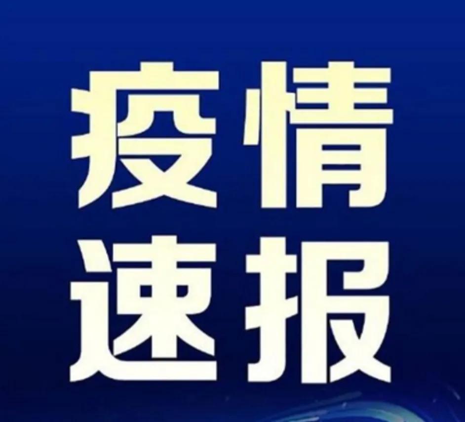 全球疫情最新通报，态势分析与应对策略