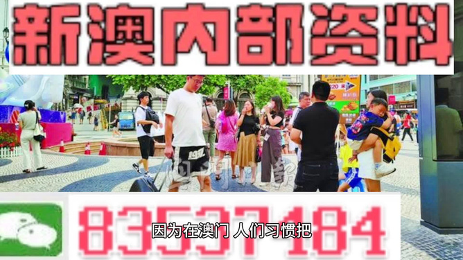 新澳门2024年免费资料大全,2024年无疑是一个充满机遇与挑战的年份