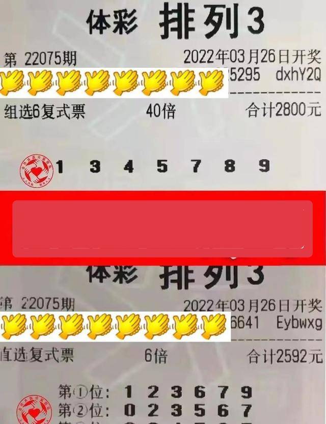 正版澳门天天开好彩大全57期,面对琳琅满目的彩票信息