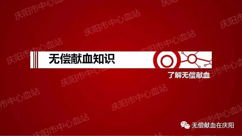 《2024新澳资料免费大全》：知识宝库与智慧启迪