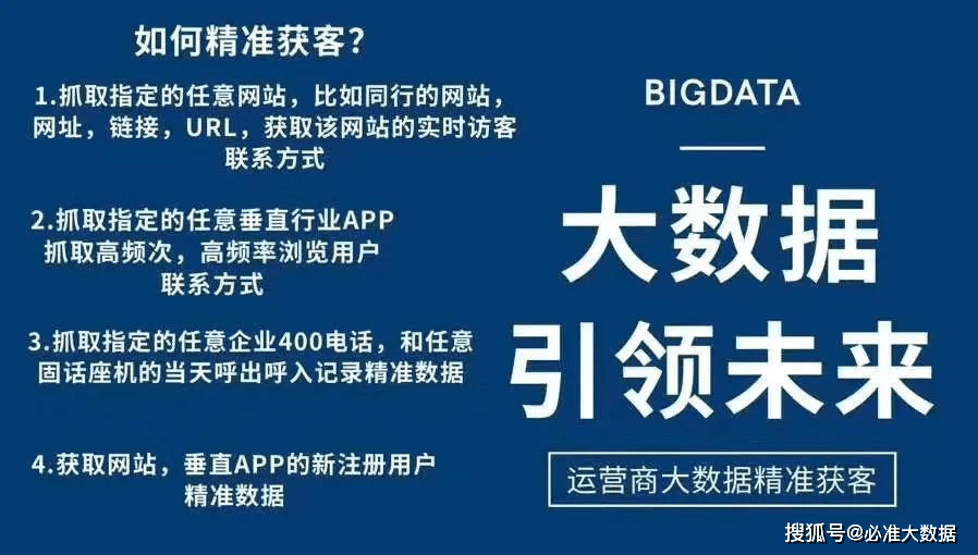 2024新澳精准资料大全：权威信息与深度分析的完美结合