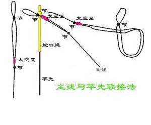 澳门铁盘算盘网www,鱼竿的绑法视频_端游版v1.12.142