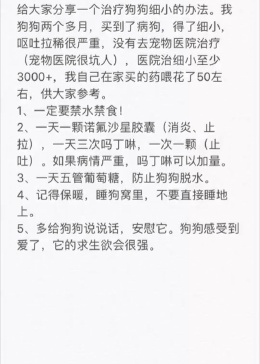 新澳最新最快资料新澳50期,狗狗细小吃什么食物_简易版v9.2.143