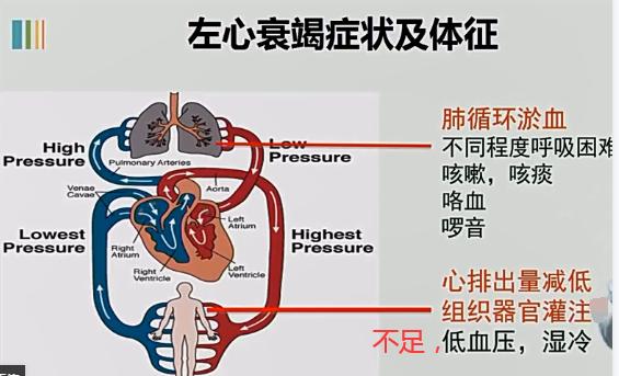 王中王王中王免费资料大全一,狗狗心脏肥大的症状_起步版8.190