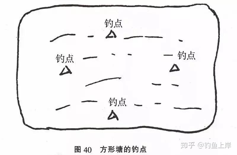 新澳全年免费资料大全,在池塘钓鱼用什么鱼竿_简易版v9.2.414