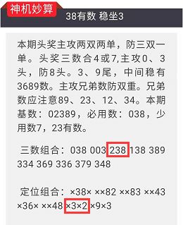 今晚澳门特马开什么今晚四不像,专业研究解析说明_The36.82