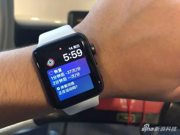 2024新澳天天彩免费资料,项目管理推进方案_watchOS31.436