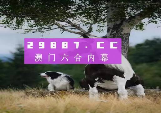 澳门跑狗,精细化策略解析_YE版94.647