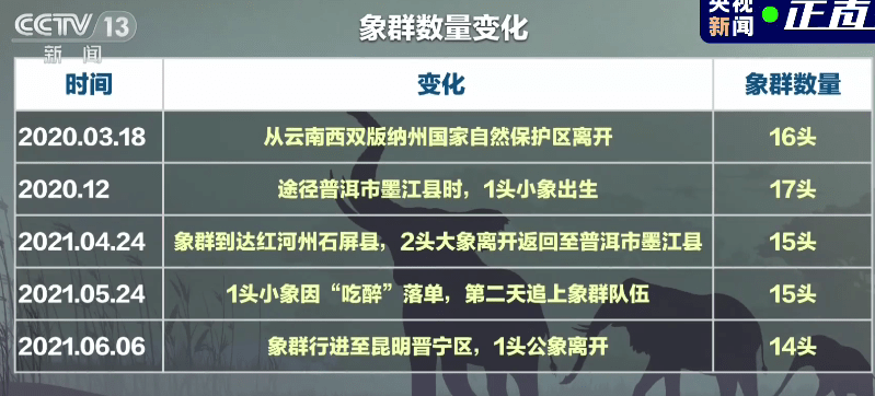 澳门正版免费全年资料大全旅游团,数据引导设计策略_手游版45.672