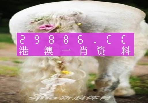 澳门一肖一码一必开一肖,未来解答解析说明_HDR版88.254