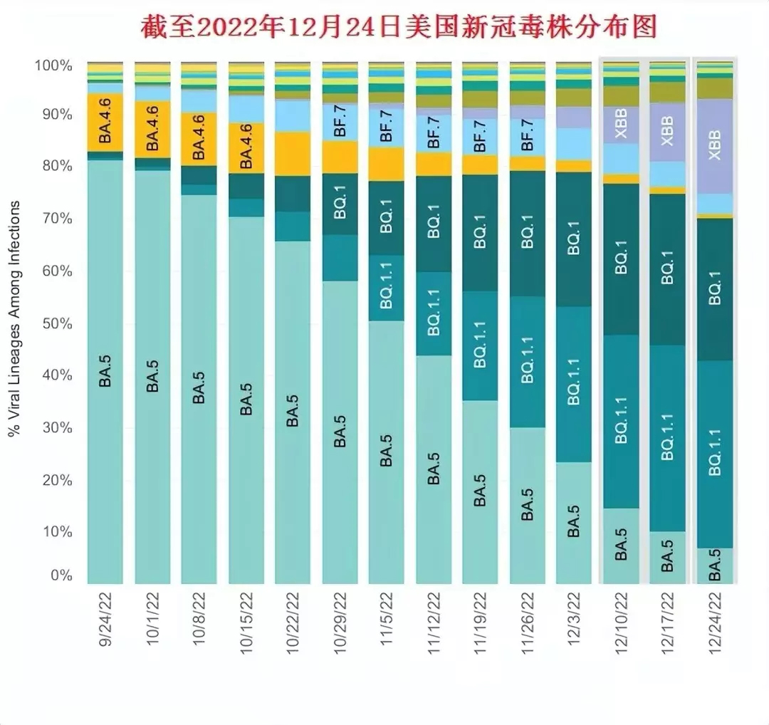 全球新冠病毒最新动态，美国现状与挑战分析