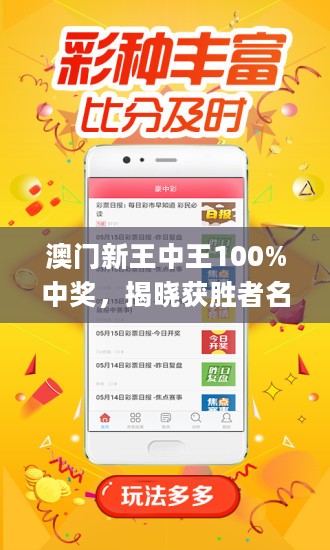 澳门王中王100%期期中,精细方案实施_S38.487