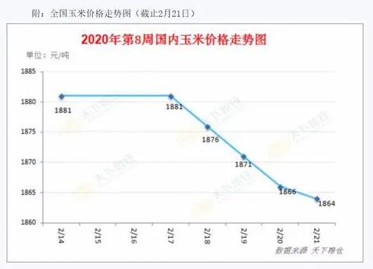 玉米价格走势分析，最新市场动态与未来展望