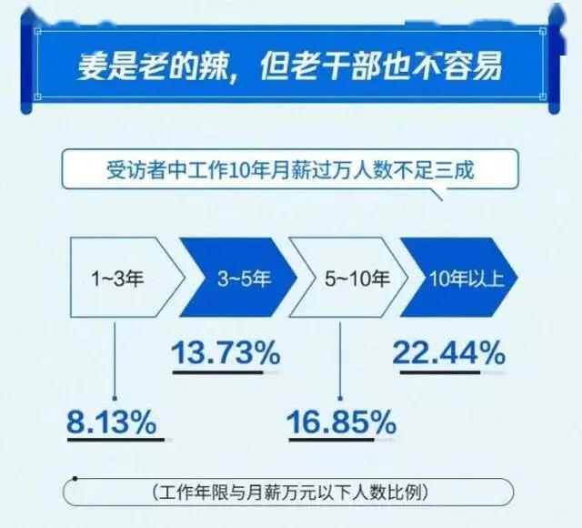 新澳2024正版免费资料,数据驱动执行方案_MT43.990