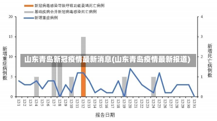 人民网青岛疫情最新报道更新，最新动态与防控进展