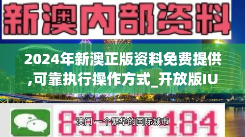 新澳内部精选资料免费提供,适用设计策略_Plus89.413