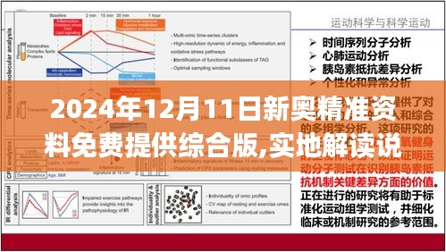 2024新奥正版资料免费大全,高效设计实施策略_轻量版33.974