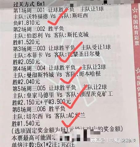 老澳门六开彩开奖网站,专业解析评估_工具版37.15