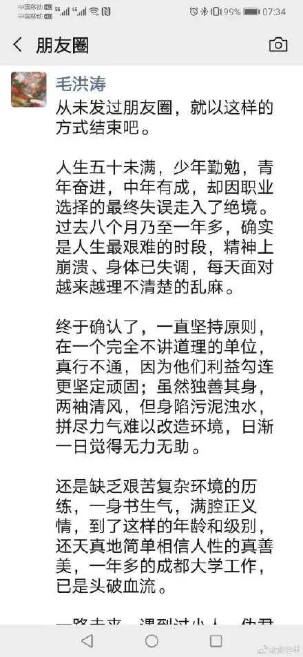 毛洪涛最新动态，揭秘背后故事与未来展望