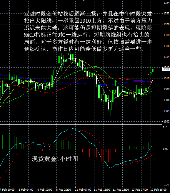 黄金走势最新分析与投资建议概览