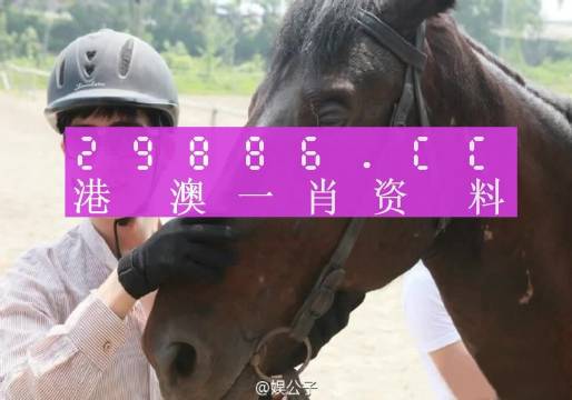 澳门今晚一肖一码，时代解答解释落实_qqc73.40.21