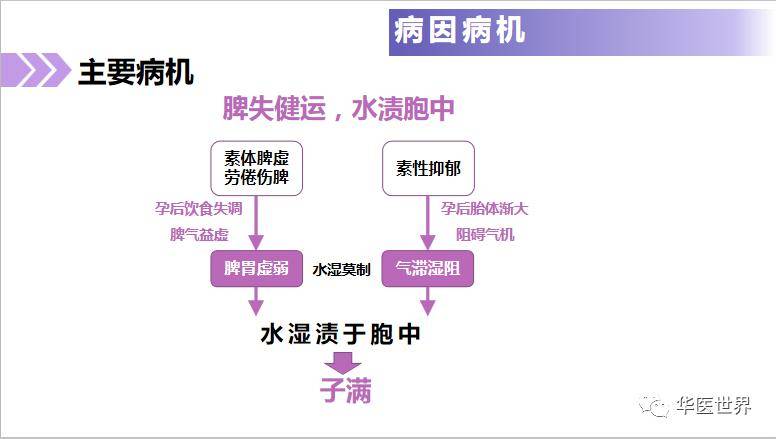 管家婆三肖三期必出一期，前沿解答解释落实_rk288.78.79