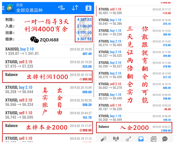 2024年新奥天天精准资料大全，实证解答解释落实_cg32.46.13