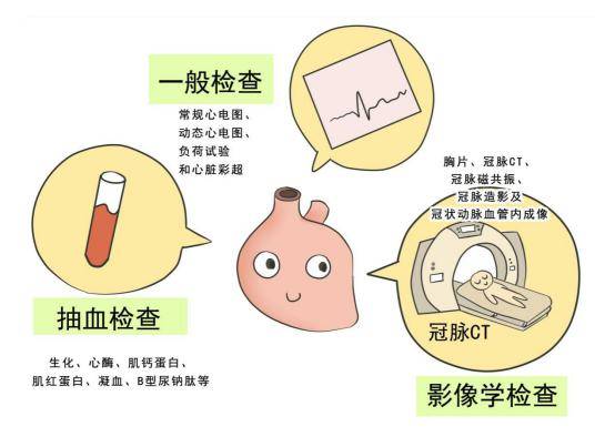 最新冠心病研究进展深度解读