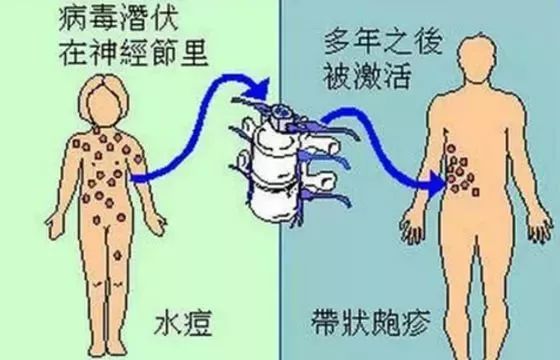 病毒疫情最新分析简报