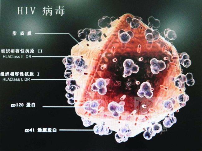 子洲最新病毒深度解析与应对策略