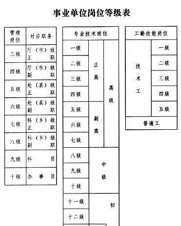 最新科员分级制度详解