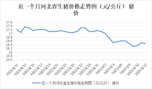 河北生猪最新价格及市场走势与影响因素解析