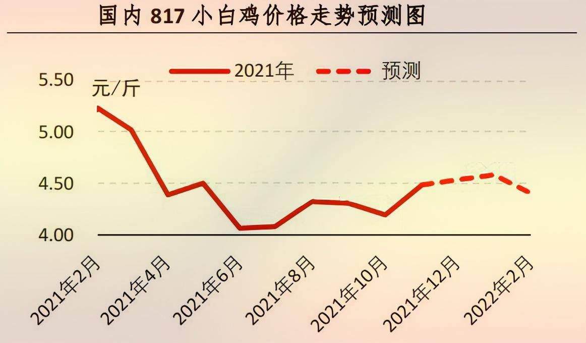 2024年11月5日 第17页