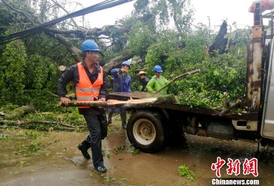 台风榕树最新实时路径分析与预测报告