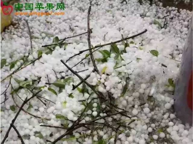 冰雹灾害来袭，影响与应对策略