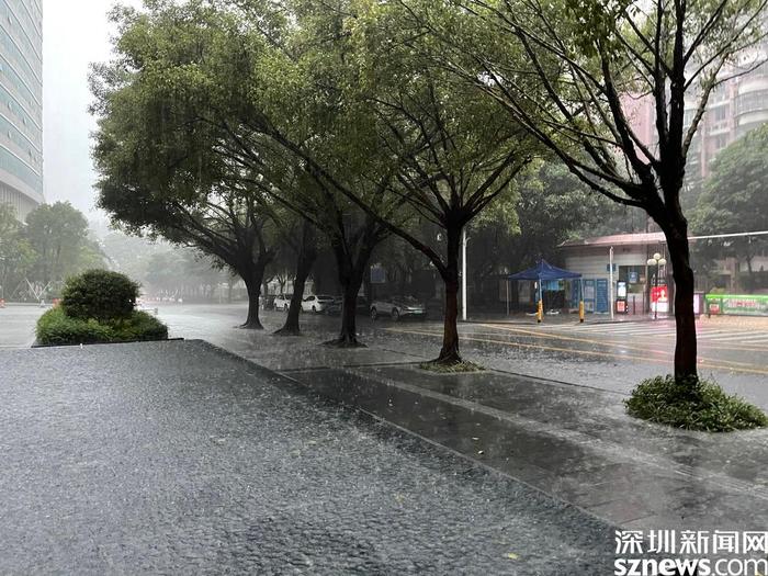 深圳降雨最新动态与影响概述