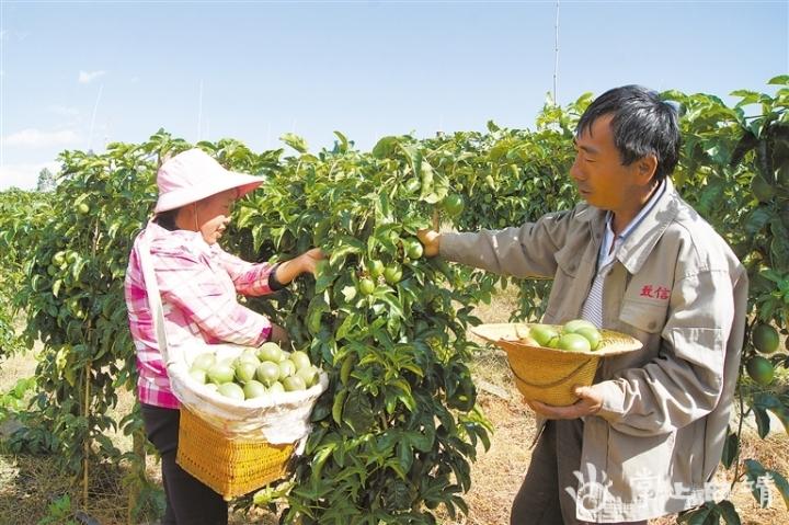 小额贷款最新口子小额，变革与进步引领行业风向标