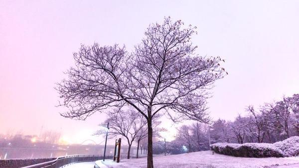 人工降雪技术的最新进展与广阔应用前景