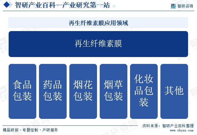 2024新奥历史开桨纪录,更是对未来发展方向的明确指引