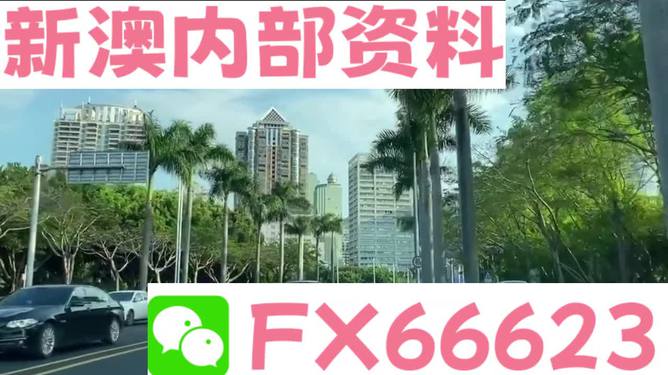 新澳精准资料免费提供305,且可能与某个特定的编号或类别相关