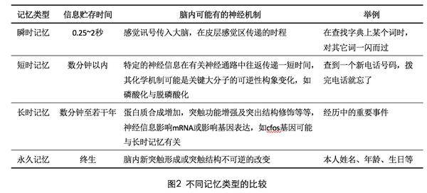 知识共享新时代：《资料大全正版资料免费》平台引领知识无障碍传播