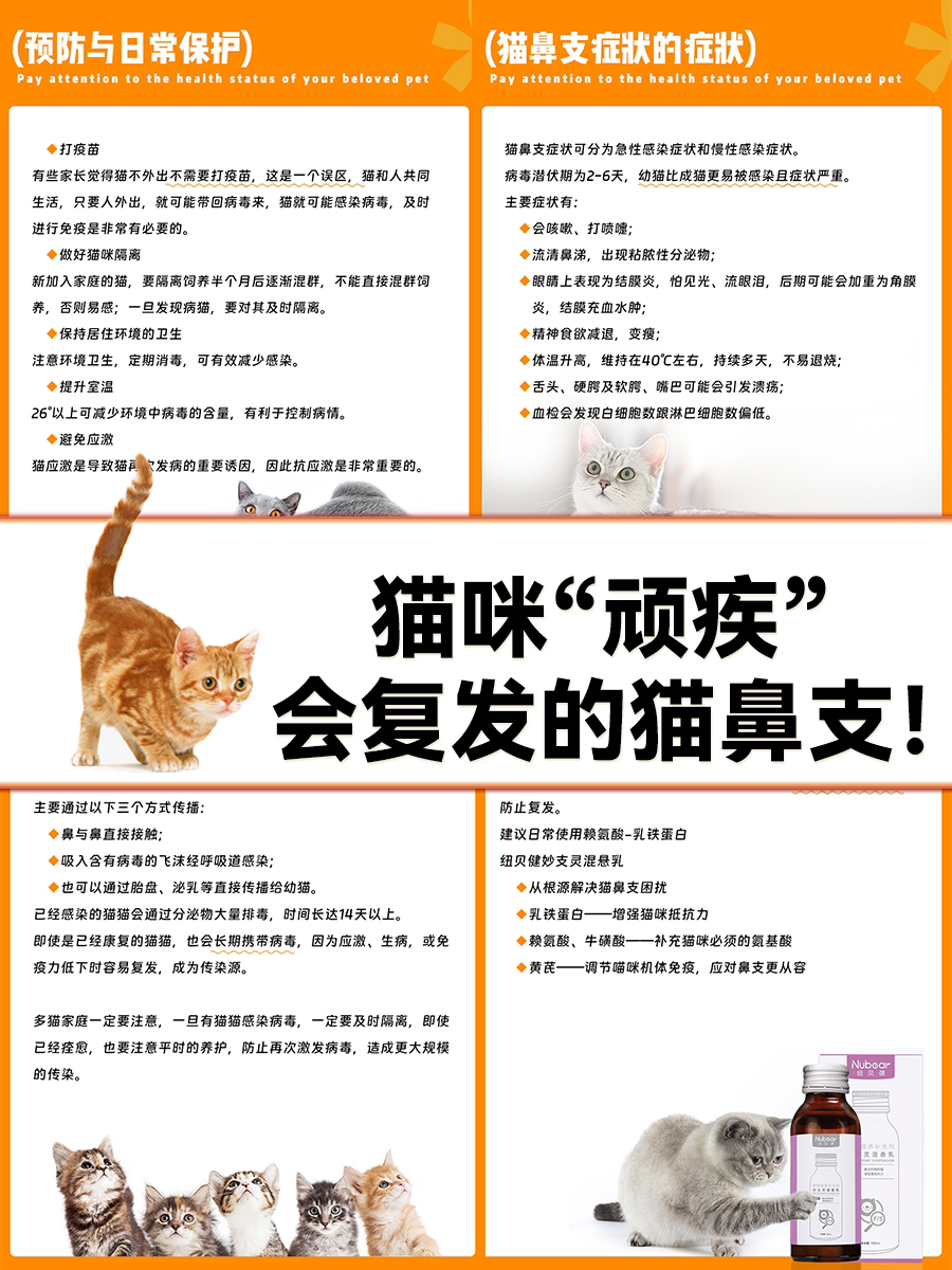 7777788888精准管家婆全准,鼻支炎猫咪症状_快捷版v3.7.521