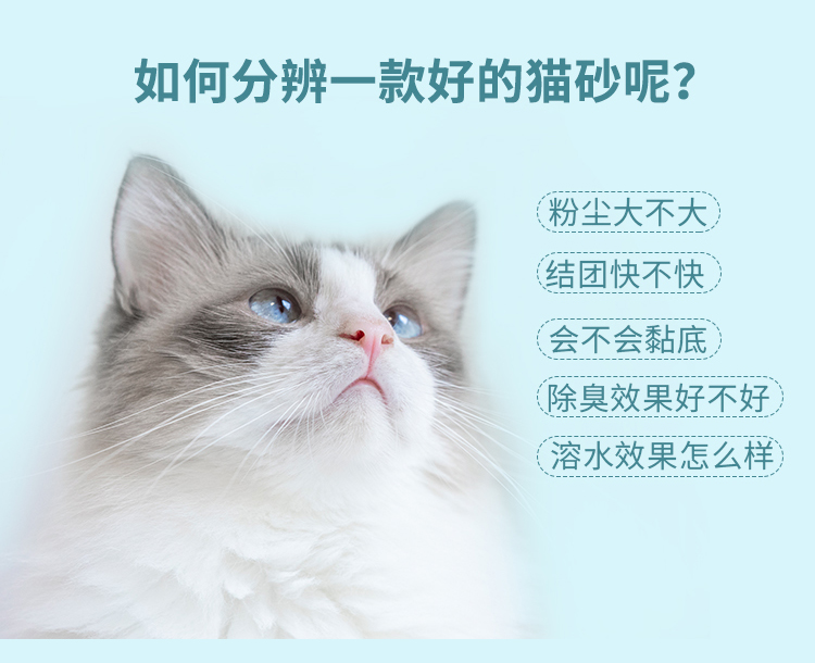 777788888王中王最新,猫咪大便很臭_快捷版v3.7.526